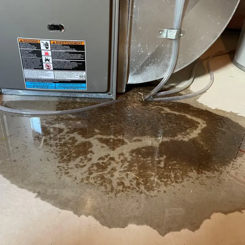 Appliance Leak Cleanup in Oakland, ME
